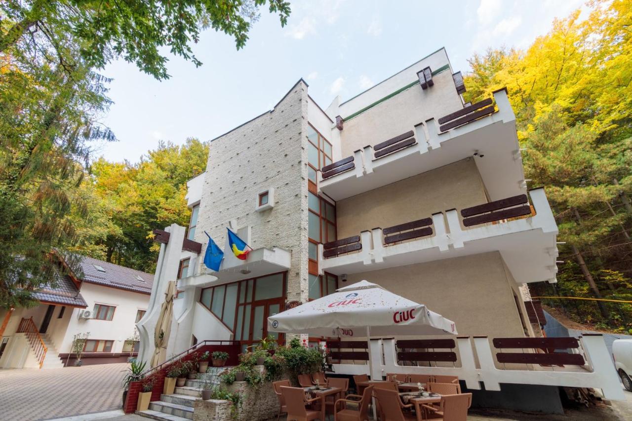 Former Ceausescu'S Vila Crizantema Hotel Băile Govora Exterior foto